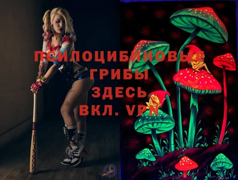 Псилоцибиновые грибы Magic Shrooms  MEGA онион  Гулькевичи 